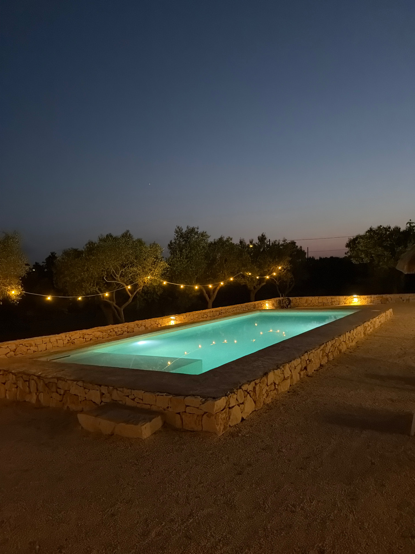 Pool at dusk with fairy lights in the olive trees