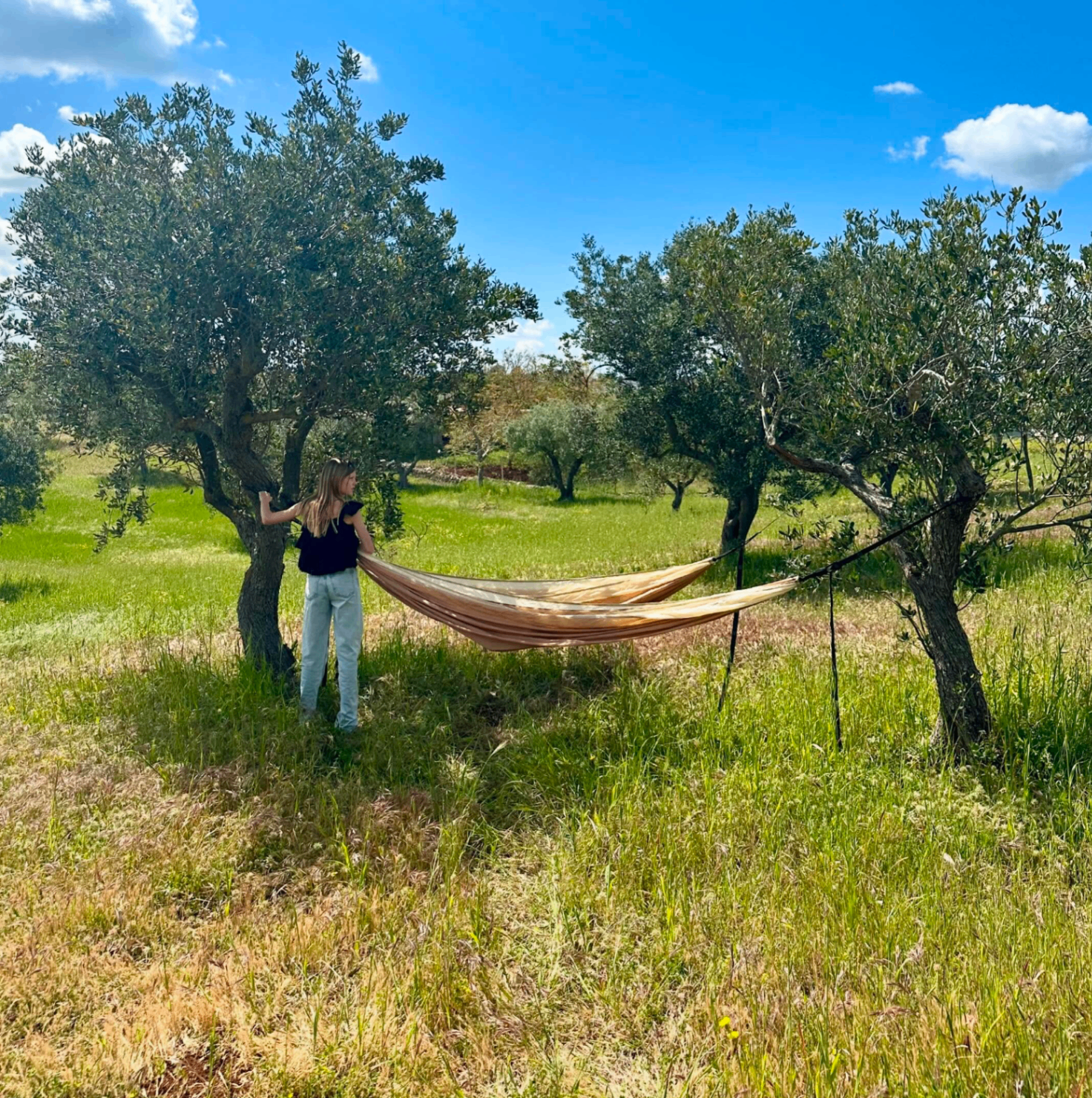 The Olive Grove — Trullo A Posto, Valle d'Itria